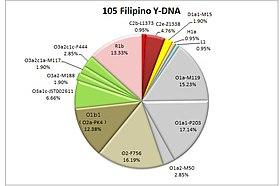 105 Filipino Y-DNA.jpg