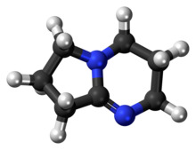 DBN molecule
