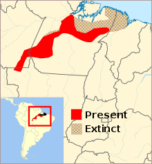 Guaruba guarouba Map.svg