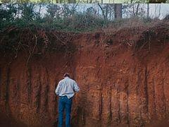 Hilo soil profile.jpg