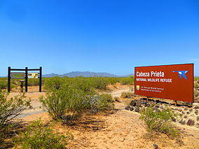 CPNWR-east.JPG