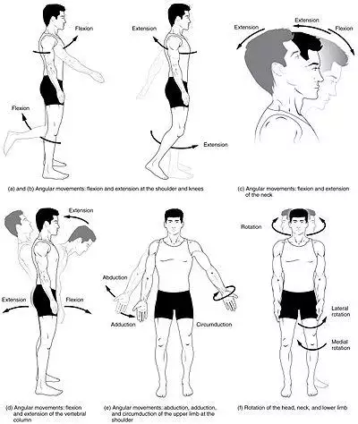 Body Movements I.jpg