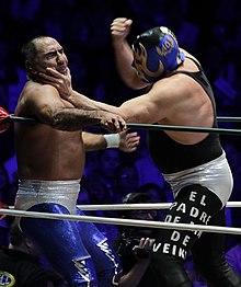CMLL November 30 Blue Panther and Mascara Ano 2000.jpg