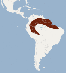 Distribution of Lophostoma carrikeri.png