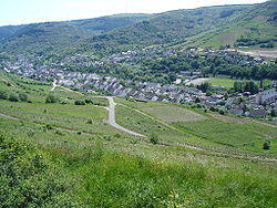 Fell (Mosel).JPG