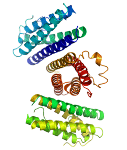 GCSF Crystal Structure.rsh.png