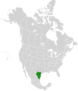 Tamaulipan Mezquital map.svg
