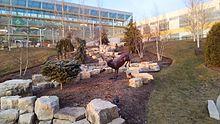 College of DuPage.JPG