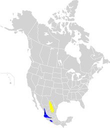 Oreothlypis crissalis map.svg