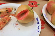 Pink Pearl (5207256521).jpg