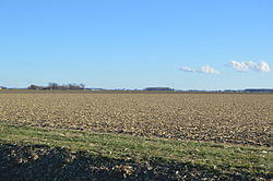 Fields in the northern part of the township