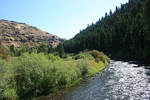 Minam River near confluence with Wallowa River IMG 4501.jpg