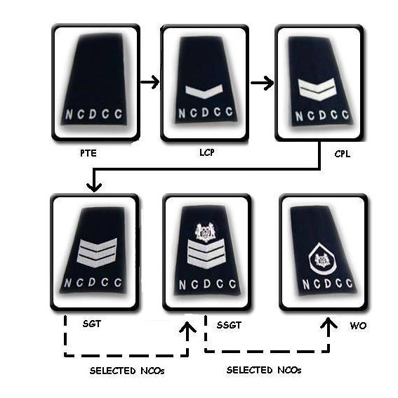 National Civil Defence Cadet Corps (Singapore) Cadet Ranks.jpg