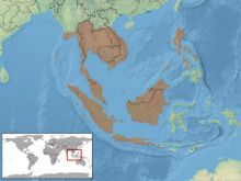 Gonyosoma oxycephalum distribution.png