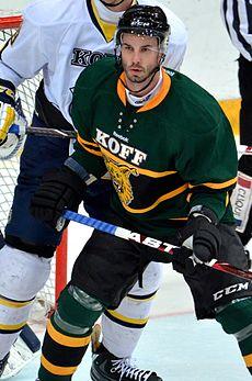 Corso Daniel Ilves 2013 1.jpg