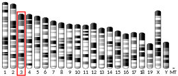 Chromosome 3 (mouse)