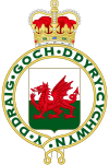Royal Badge of Wales (1953).svg