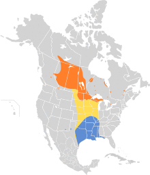Ammodramus leconteii map.svg