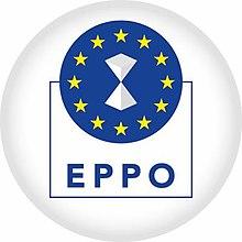 European Public Prosecutor's Office Official emblem.jpg