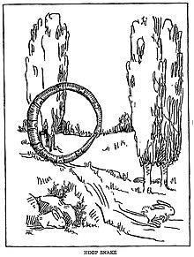 Hoop snake.jpg