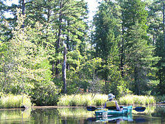 Mullica River 7.jpg