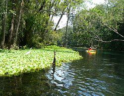 IchetuckneeRiv2006.jpg