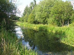 Earl Fitzwilliam's Canal - geograph.org.uk - 1436489.jpg