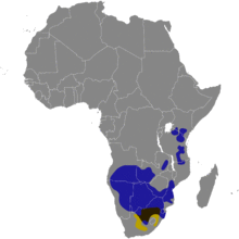 Connochaetes map.png
