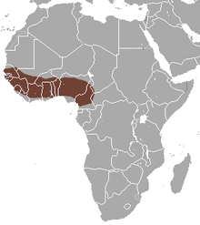 Haussa Genet area.png