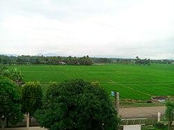 Magsaysay , Davao del Sur.jpg