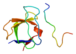 Protein FYN PDB 1a0n.png