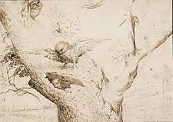 The Owl's Nest Bosch.jpg