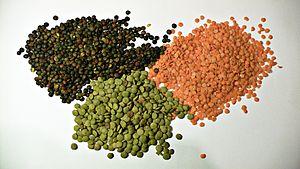 3 types of lentil.png