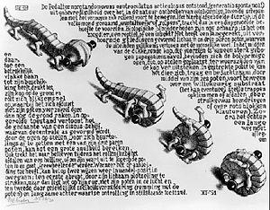 Escher, Curl-up.jpg