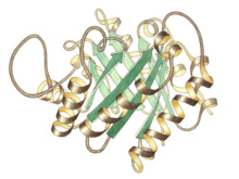 TriosePhosphateIsomerase Ribbon pastel trans.png