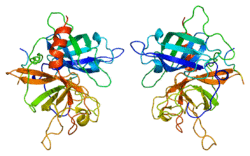 Protein PLAT PDB 1a5h.png