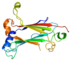 Protein TRAF6 PDB 1lb4.png