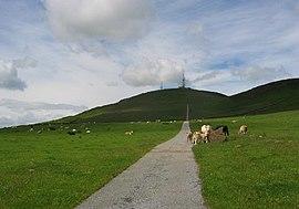 Craigowl hill.jpg