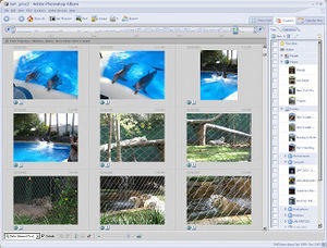 Photoshop Album 2.0 under Windows 2000