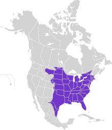 Megascops asio map.svg