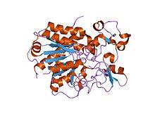 PDB 1zli EBI.jpg
