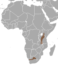 Smith's Red Rock Hare area.png