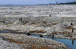 Collecting jade in the White Jade River near Khotan.jpg