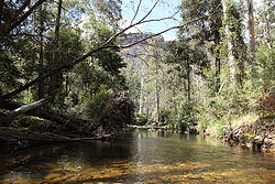Grose River, near Blue Gum Forest, Grose Valley, Blue Mountains 1.JPG