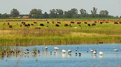Maraco, La Pampa, Argentina - panoramio (1).jpg