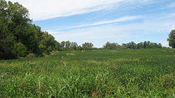 Countryside in the township