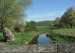 The river Kym - geograph.org.uk - 406932.jpg