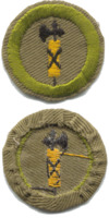Civics merit badge, type C.png
