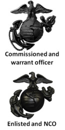 US Marine Corps Insignias-Subdued.png