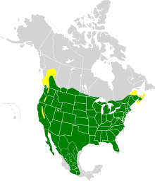 Carpodacus mexicanus map.svg